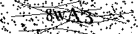 Inserire le lettere e i numeri qui sotto