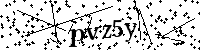 Inserire le lettere e i numeri qui sotto