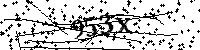 Inserire le lettere e i numeri qui sotto