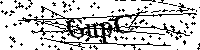 Inserire le lettere e i numeri qui sotto