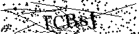 Inserire le lettere e i numeri qui sotto