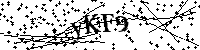 Inserire le lettere e i numeri qui sotto