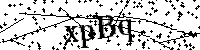 Inserire le lettere e i numeri qui sotto