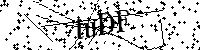 Inserire le lettere e i numeri qui sotto