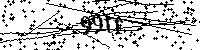 Inserire le lettere e i numeri qui sotto