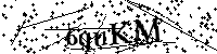 Bitte die Buchstaben und Zahlen unten eingeben