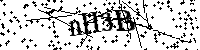 Inserire le lettere e i numeri qui sotto