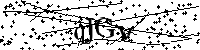 Inserire le lettere e i numeri qui sotto