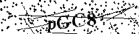 Inserire le lettere e i numeri qui sotto