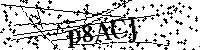 Inserire le lettere e i numeri qui sotto