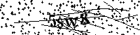 Inserire le lettere e i numeri qui sotto