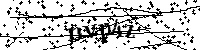 Inserire le lettere e i numeri qui sotto
