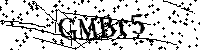 Inserire le lettere e i numeri qui sotto