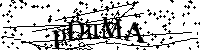 Inserire le lettere e i numeri qui sotto