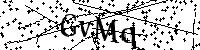 Inserire le lettere e i numeri qui sotto