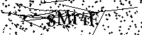 Inserire le lettere e i numeri qui sotto
