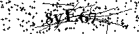 Inserire le lettere e i numeri qui sotto