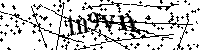 Inserire le lettere e i numeri qui sotto