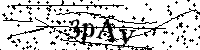 Inserire le lettere e i numeri qui sotto