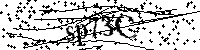 Inserire le lettere e i numeri qui sotto