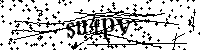 Inserire le lettere e i numeri qui sotto