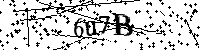 Bitte die Buchstaben und Zahlen unten eingeben