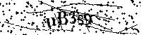 Inserire le lettere e i numeri qui sotto