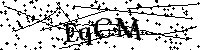 Inserire le lettere e i numeri qui sotto