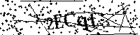 Inserire le lettere e i numeri qui sotto
