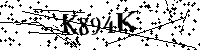 Inserire le lettere e i numeri qui sotto