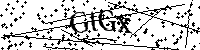 Bitte die Buchstaben und Zahlen unten eingeben