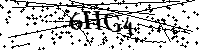 Inserire le lettere e i numeri qui sotto