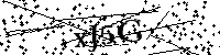 Inserire le lettere e i numeri qui sotto