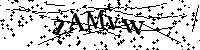 Inserire le lettere e i numeri qui sotto