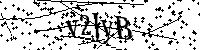 Inserire le lettere e i numeri qui sotto