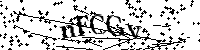 Bitte die Buchstaben und Zahlen unten eingeben