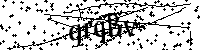 Inserire le lettere e i numeri qui sotto