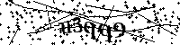 Inserire le lettere e i numeri qui sotto