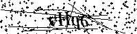 Inserire le lettere e i numeri qui sotto