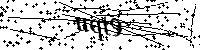 Bitte die Buchstaben und Zahlen unten eingeben