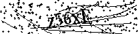 Inserire le lettere e i numeri qui sotto