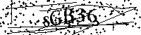 Bitte die Buchstaben und Zahlen unten eingeben