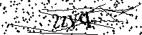 Inserire le lettere e i numeri qui sotto