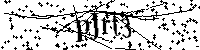 Inserire le lettere e i numeri qui sotto