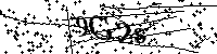 Inserire le lettere e i numeri qui sotto