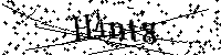 Inserire le lettere e i numeri qui sotto