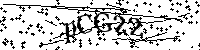 Inserire le lettere e i numeri qui sotto
