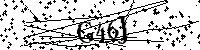 Inserire le lettere e i numeri qui sotto