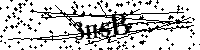 Inserire le lettere e i numeri qui sotto