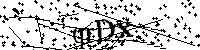 Inserire le lettere e i numeri qui sotto